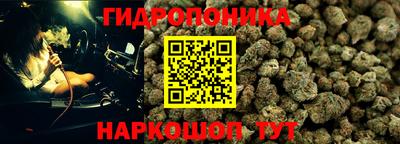 прущие крисы Пыть-Ях