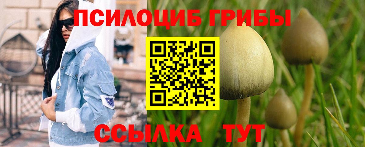 Галлюциногенные грибы Psilocybine cubensis Ржев